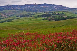 Volterra, rodeada de las apacibles y melancólicas colina toscanas. Foto de Vanto5.