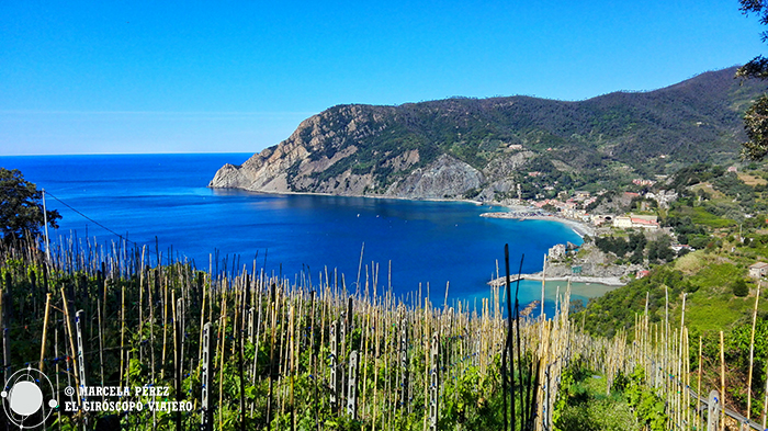 Adiós querido Monterosso