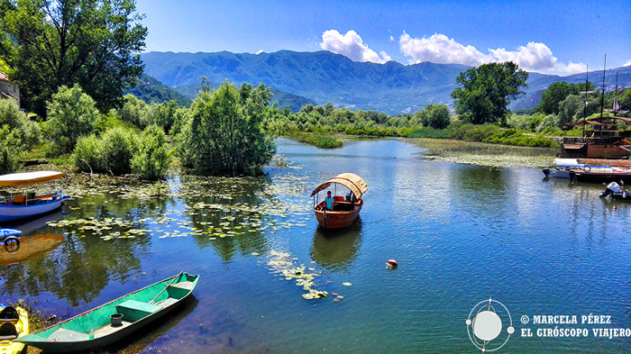 El Lago Skadar