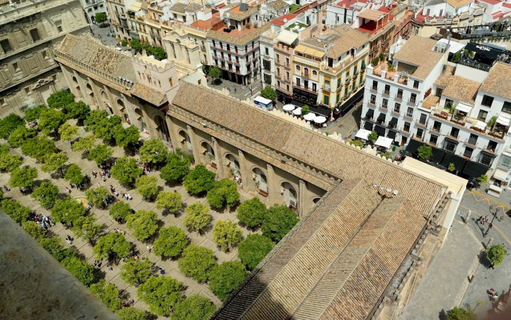 El magnífico Patio de los naranjos de la catedral de Sevilla