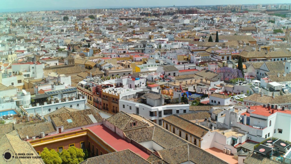 Magnífica la ciudad de Sevilla desde lo alto de la Giralda