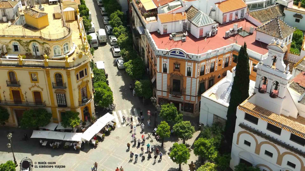 Espío a los habitantes de Sevilla agazapada en la atalaya de la ciudad