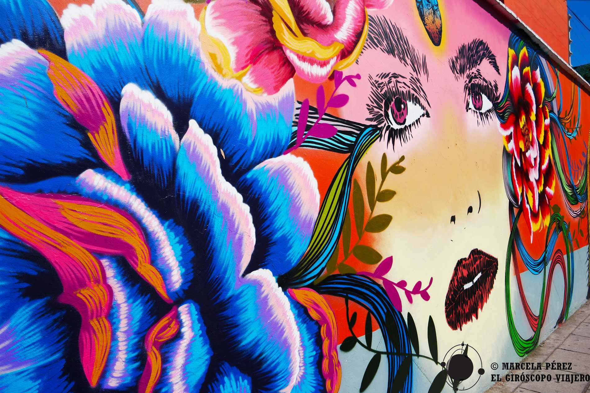 Graffitis, Street Art y murales del mundo