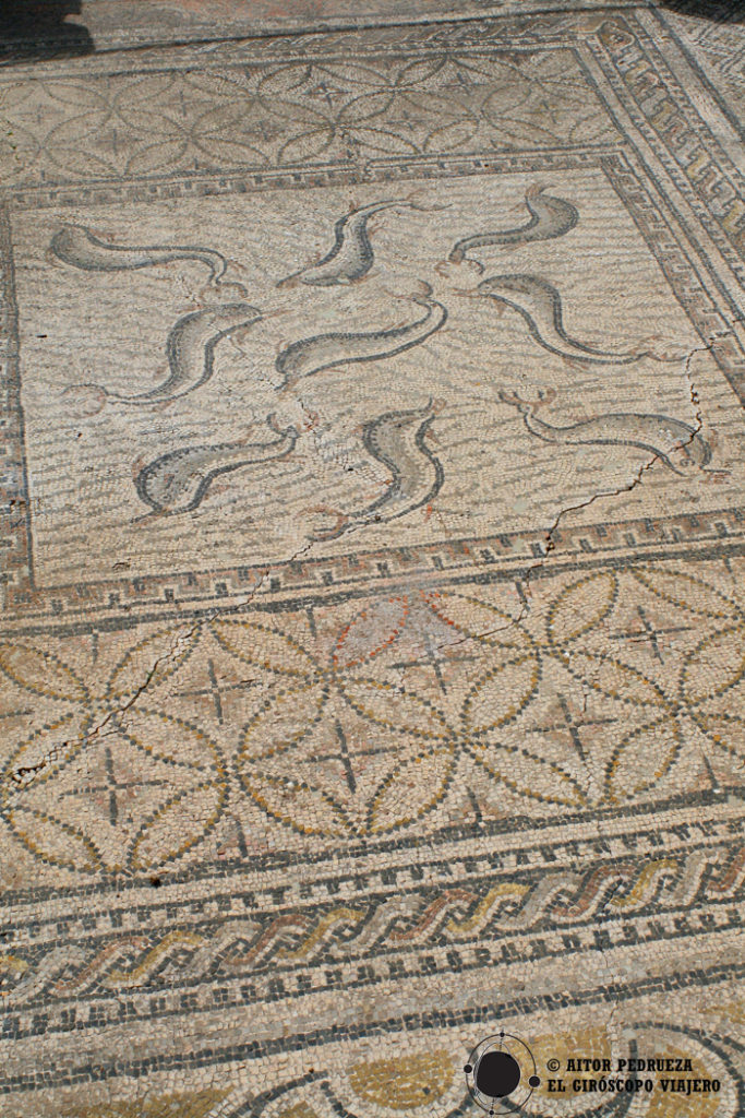 Mosaicos de la casas de Orfeo