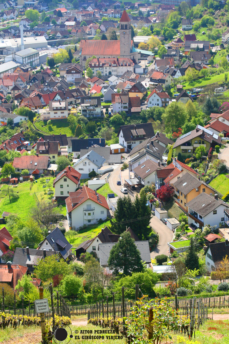 Vistas desde el Castillo de Eberstein