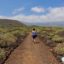 Ruta fascinante por el Malpaís de Güimar, Tenerife. Caminando por un mar de lava
