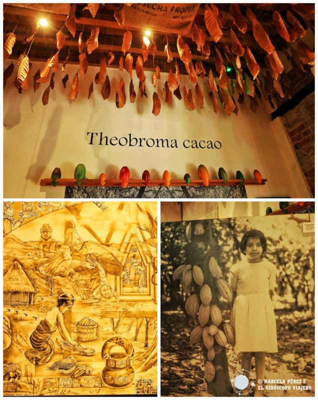 MUCHO, una visita dulce al Museo del Chocolate de la Ciudad de México