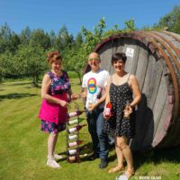 La sorpresa del vino de bayas en Finlandia