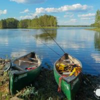 Nostalgia de verano en el corazón del Parque Nacional de Petkeljärvi, Finlandia