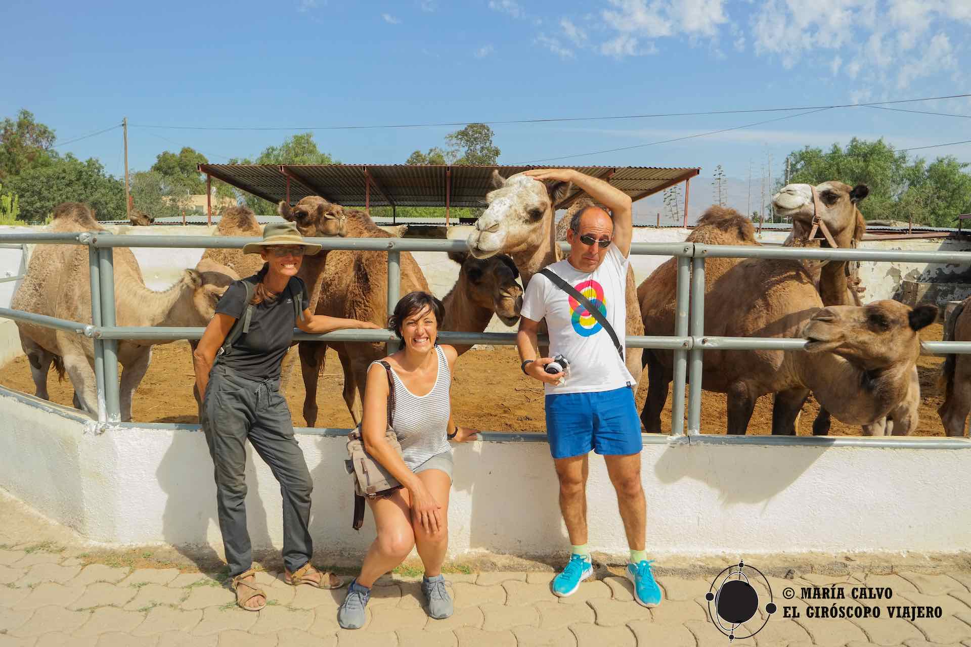 Los Camellos de Almería nos cuentan su historia. Ursula y su pasión por los dromedarios