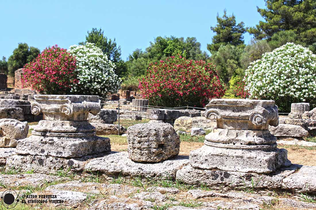 Restos de columnas entre un paisaje de flores en el yacimiento de Olimpia