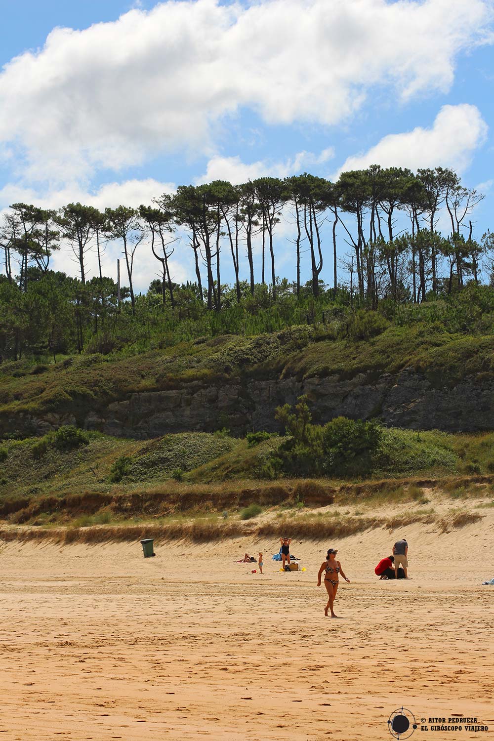 Bosque de pinos sobre las playas de Somo 