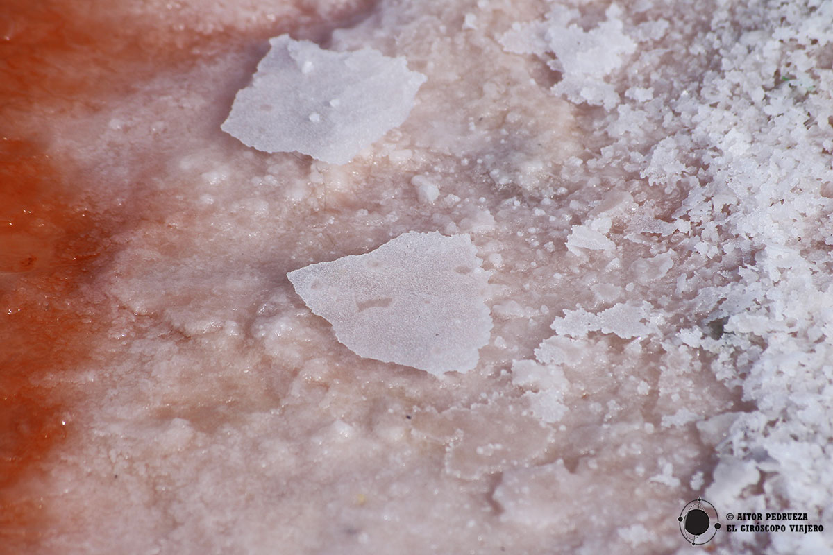 Formación flor de sal