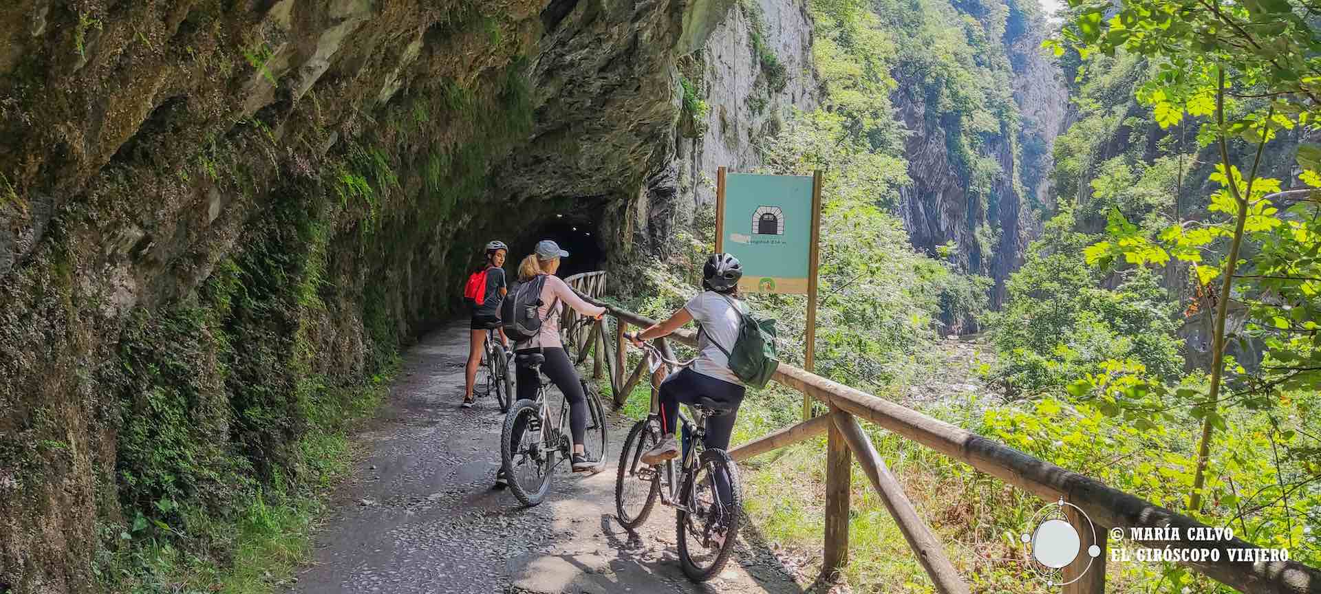 La Senda del Oso en bici. Asturias espectacular en la más célebre vía verde