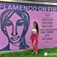 Al calor del Festival Flamenco on Fire de Pamplona