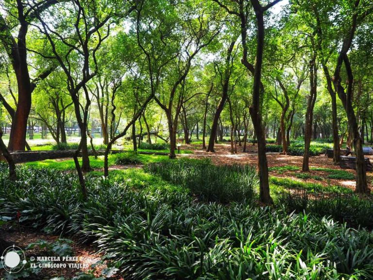 Visita al Jardín botánico de Chapultepec en Ciudad de México