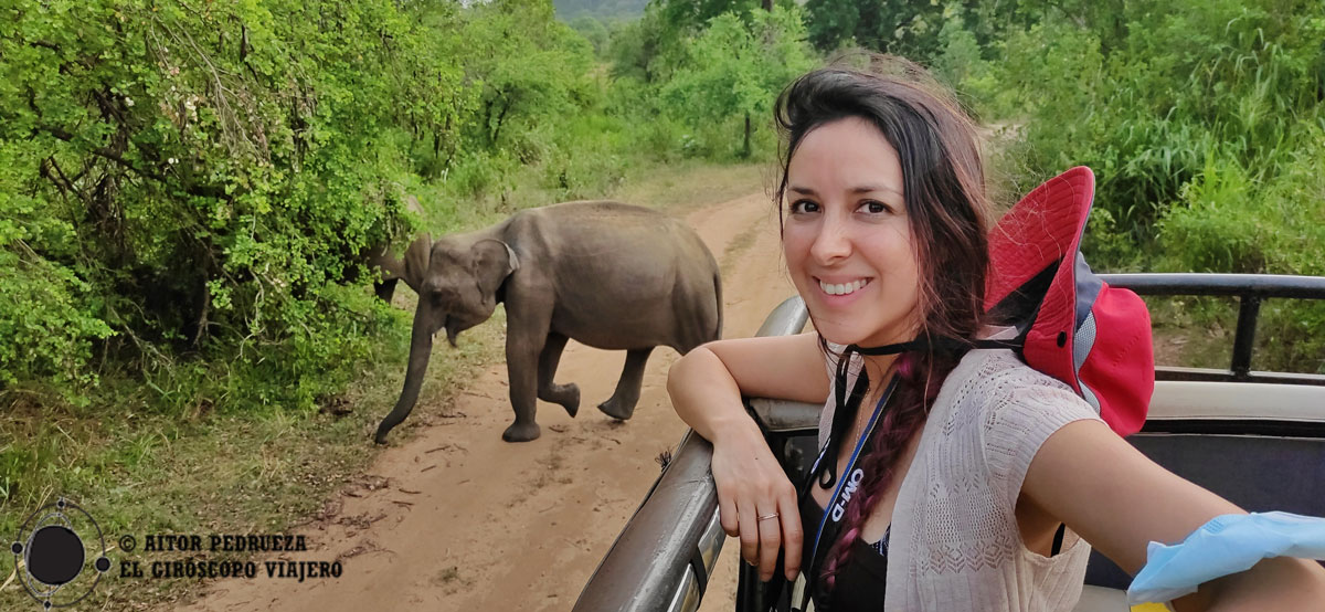 De Safari en Sri Lanka con los impresionantes elefantes
