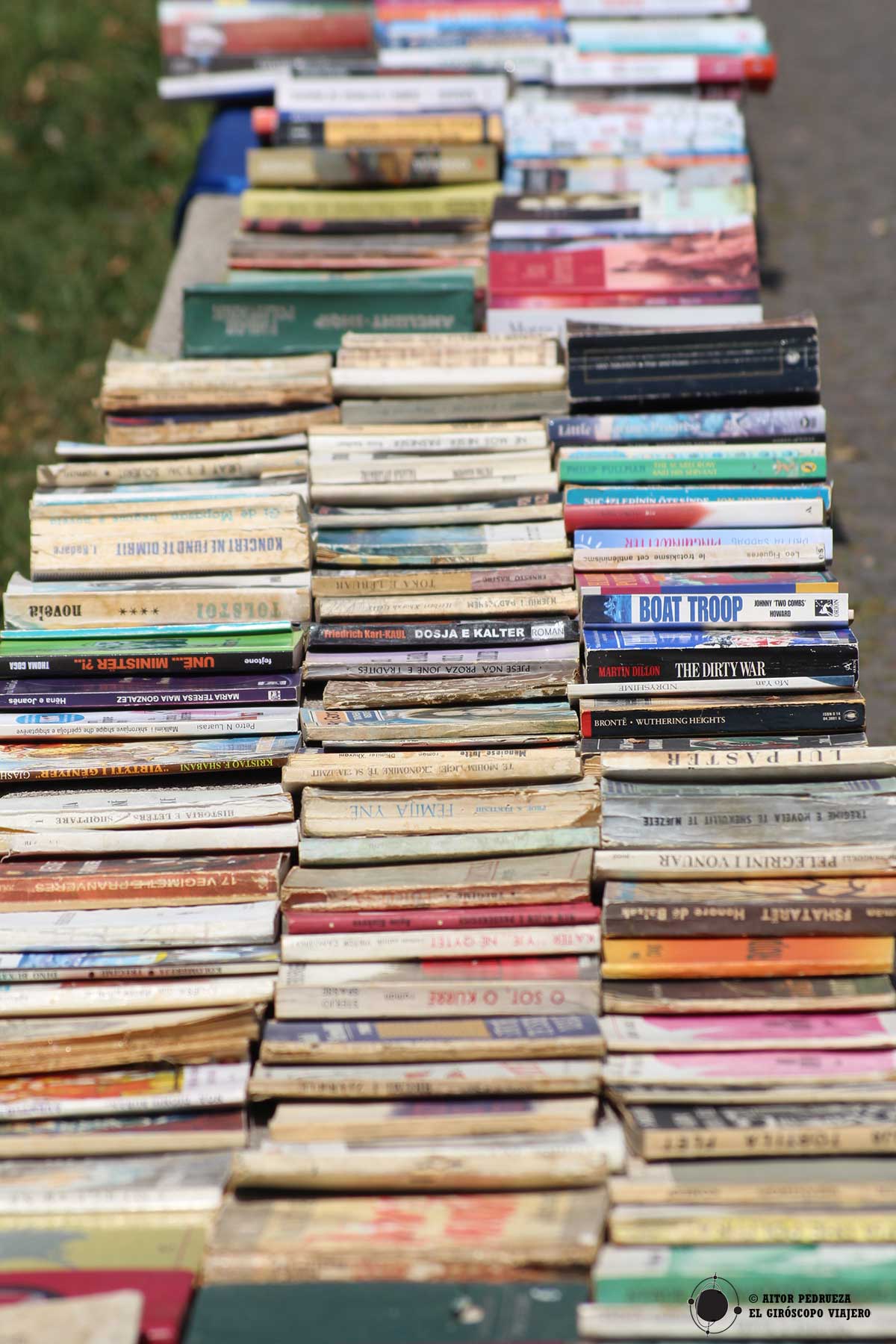 Libros en el Parque Rinia de Tirana
