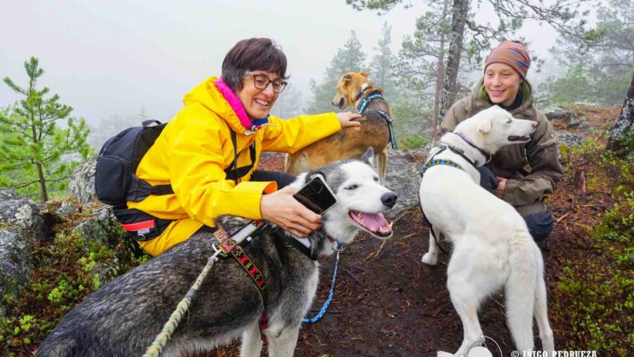 Paseo con huskies en Syöte, el norte salvaje de Finlandia