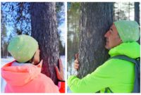 Abrazar árboles en Laponia. Magia en los bosques de Levi