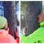 Abrazar árboles en Laponia. Magia en los bosques de Levi