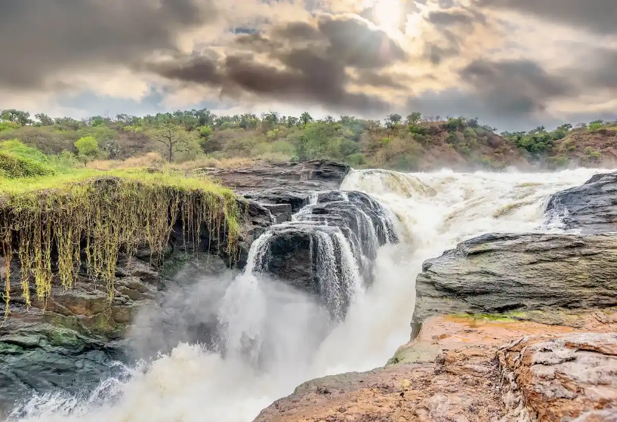 Las cataratas Murchison en Uganda
