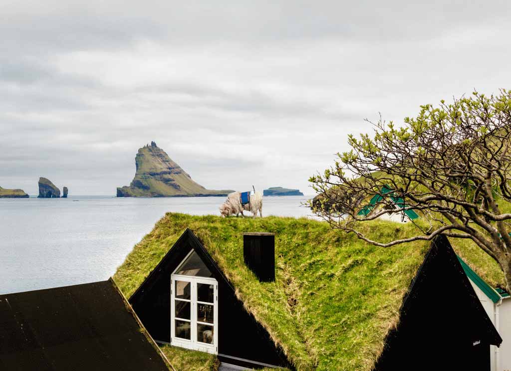 Techos cubiertos de hierba en las Islas Feroe