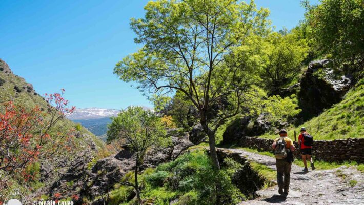 La Vereda de la Estrella, Granada. Sierra Nevada en primavera