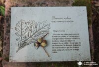 Visita al Arboreto de Liendo y su Centro de Interpretación del Bosque