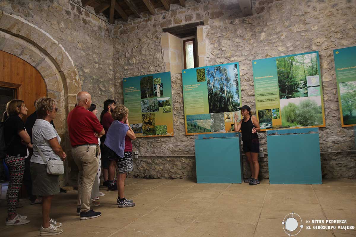 Explicaciones iniciales en la ruta del arboreto