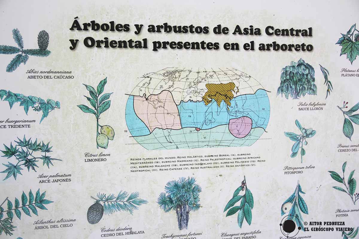 Cartel de las especies de Asia presentes en el arboreto de Liendo