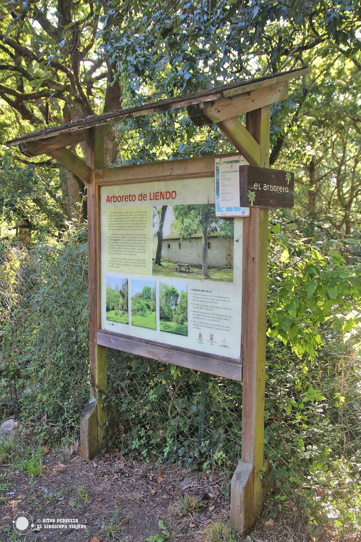 Entrada al Arboreto de Liendo