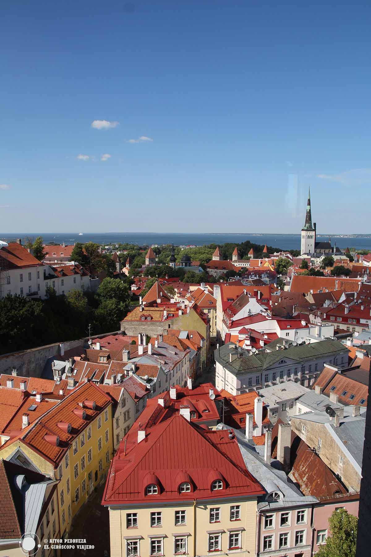 Vistas de Tallin desde lo alto del Niguliste Muuseum