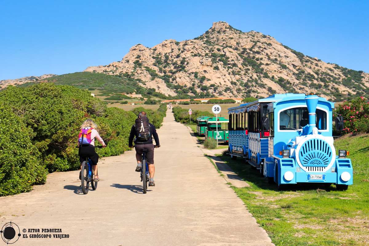 Cómo moverse en Asinara: bicicleta, tren turístico o 4x4