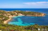 Excursión a la Reserva Natural de la isla de Asinara