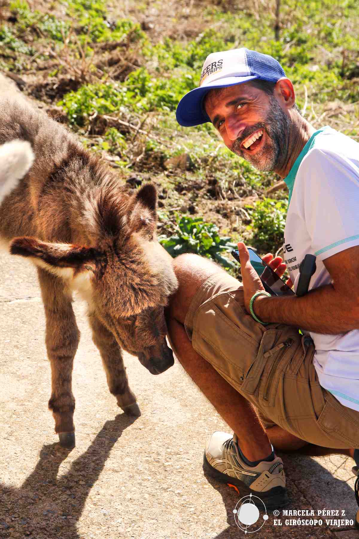 Burros de Asinara