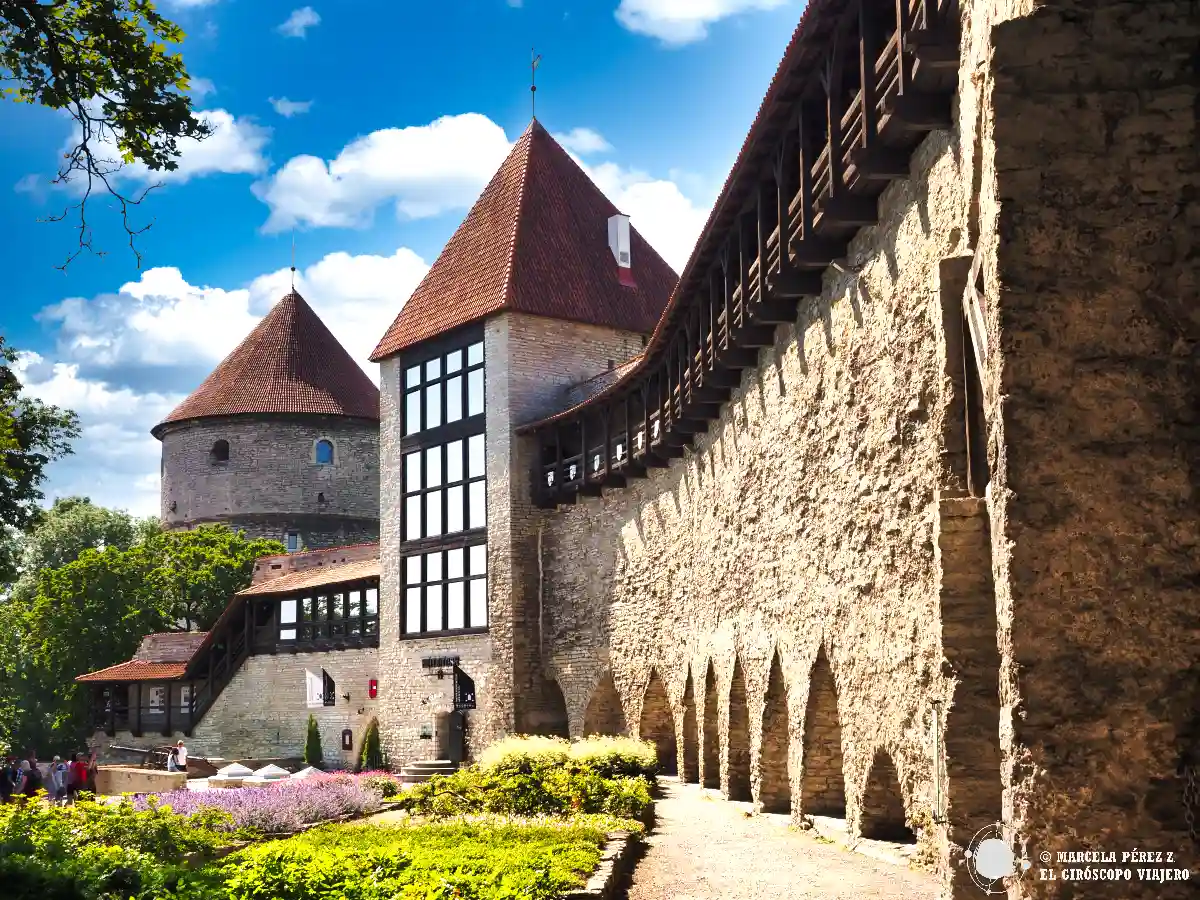 Recorrido por las murallas, túneles y bastiones de Tallin