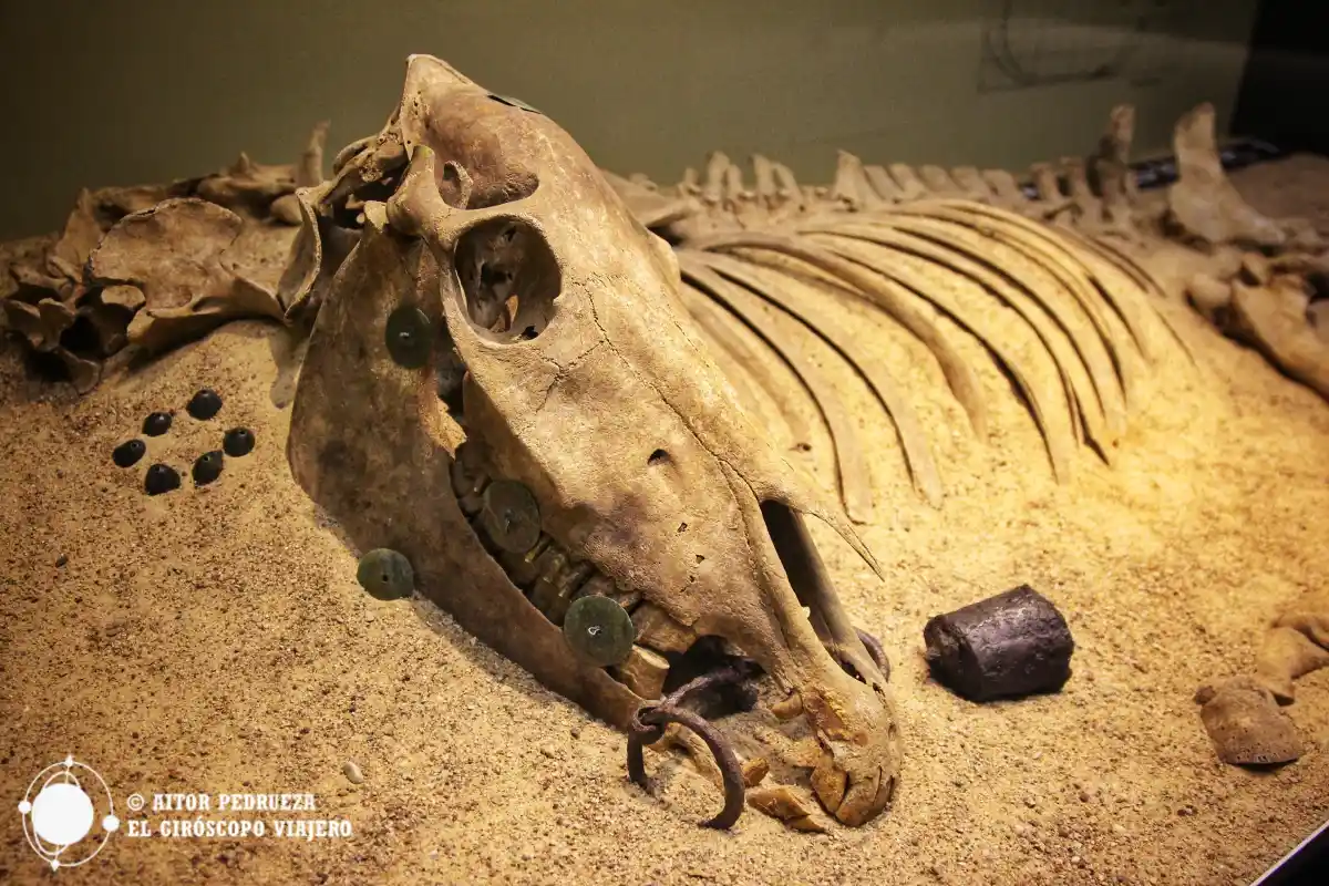 Museo de Kernave