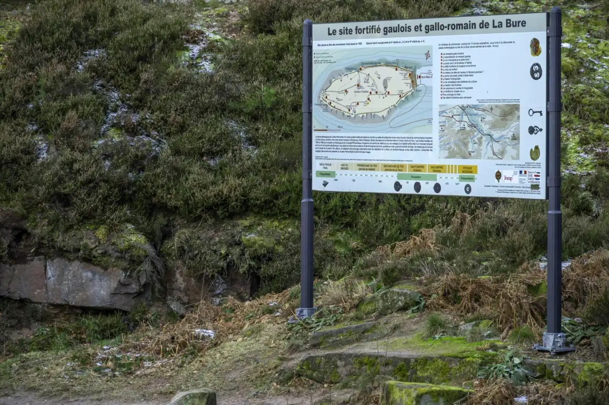 Castro celta de Bure a las afueras de Saint Dié