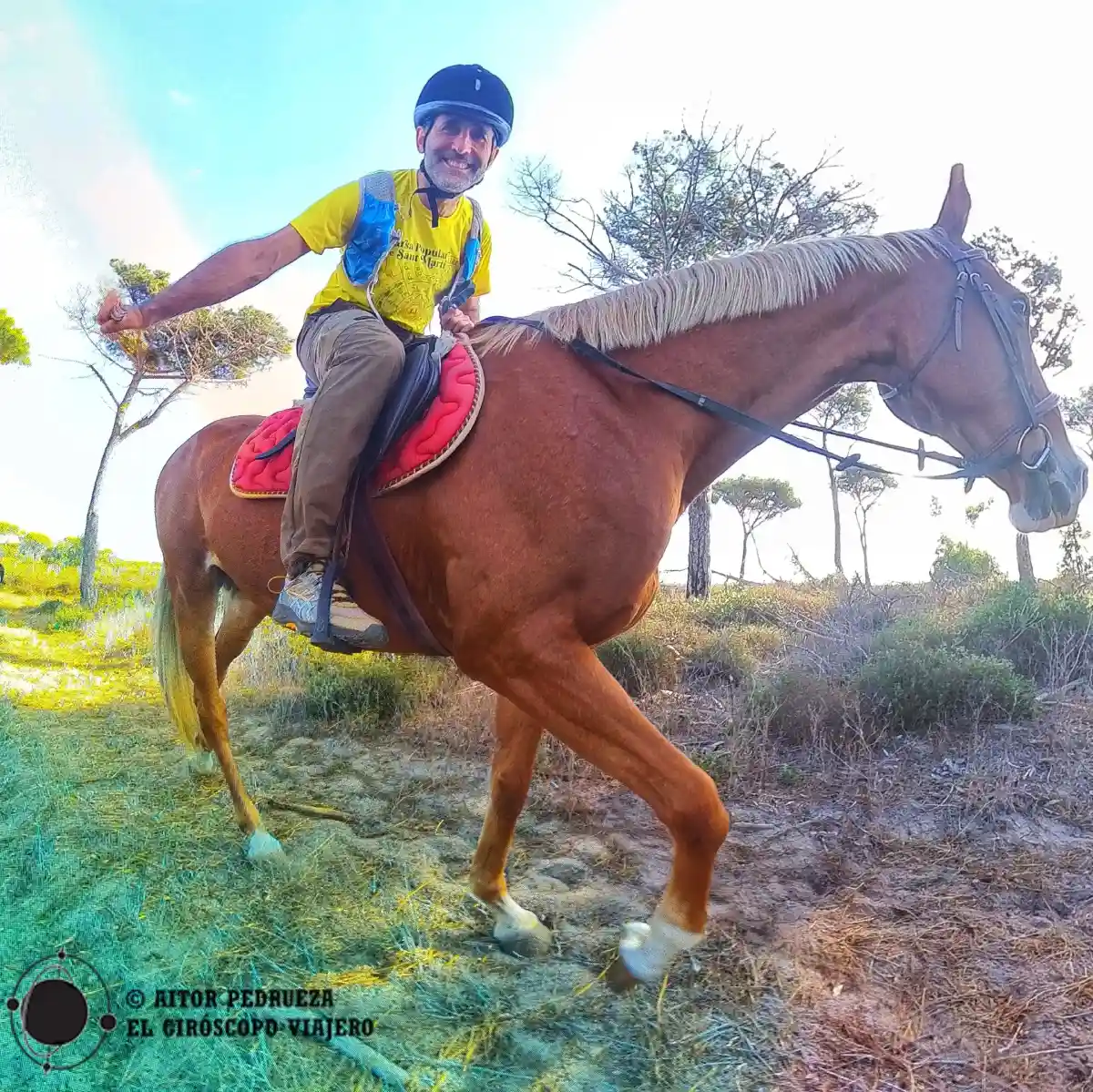 Paseos a caballo en Arborea