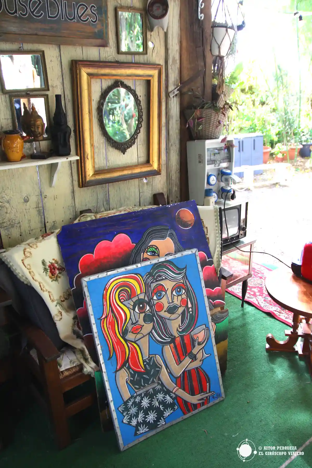 Rosehouseblues en Terralba