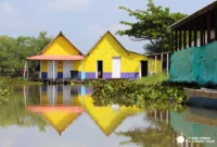 Excursión a los pueblos palafitos de la Ciénaga Grande de Santa Marta