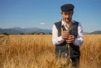 El oro blanco de Cerdeña: El renacimiento de los granos antiguos