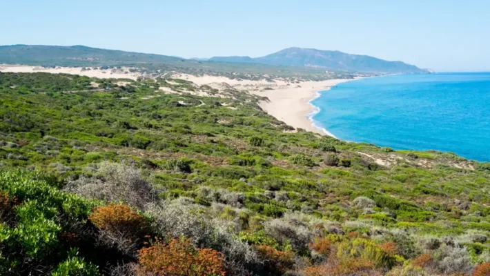 Linas, la Cerdeña insólita