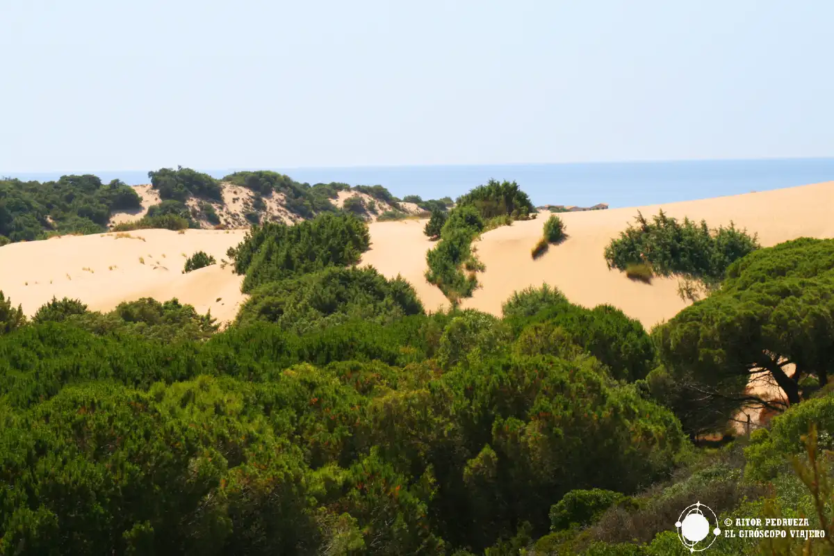 Dunas di Piscinas en la Costa Verde de Cerdeña