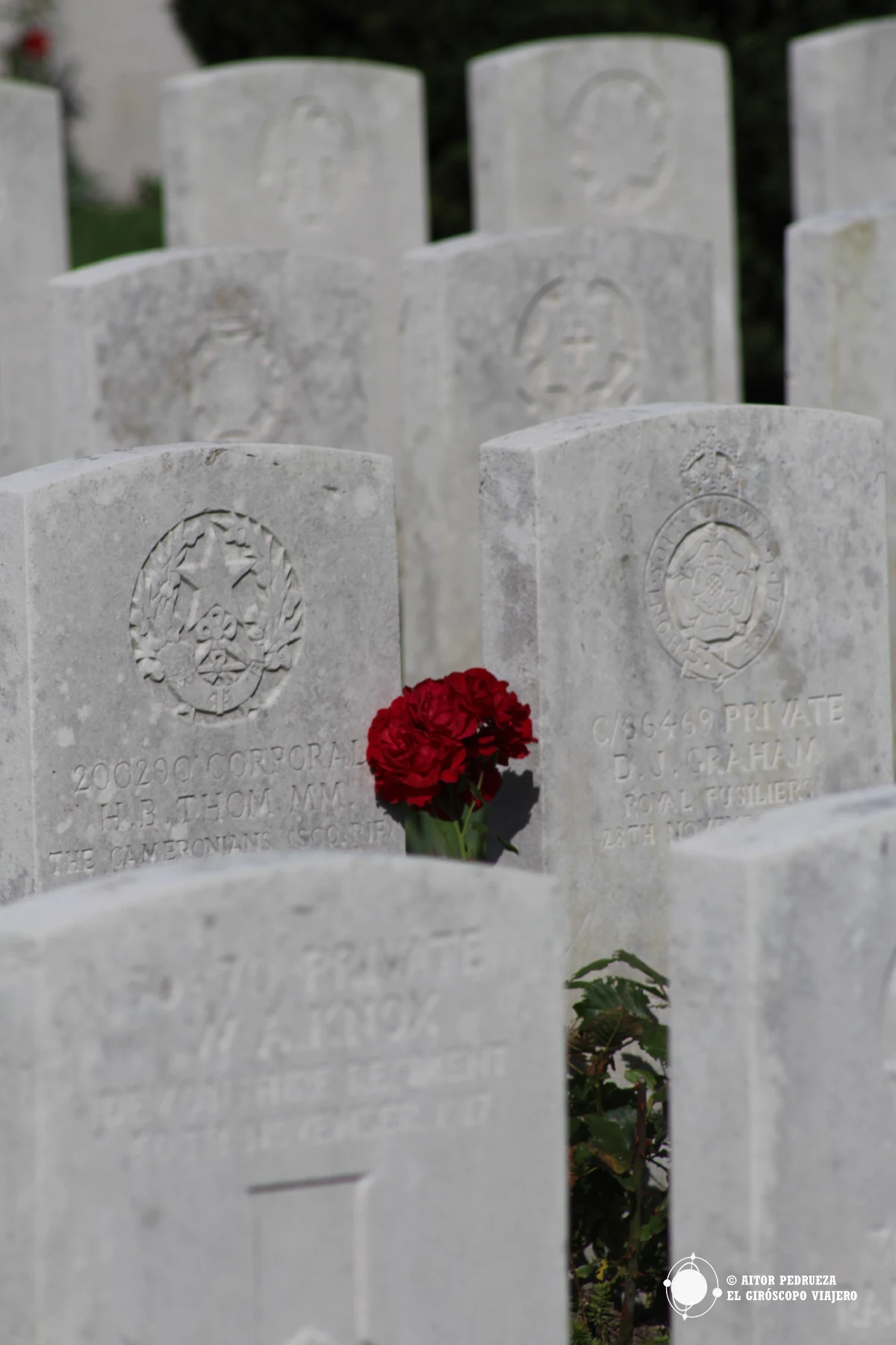 Cementerio británico Nine Elms