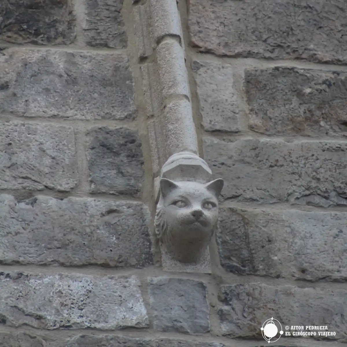 Gato en la fachada de la Lonja de Paños de Ypres